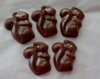 Chocolate Squirrel cupcake toppers