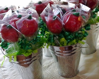 Seau de Cherry Red Apple Lollipops / Favorise les cadeaux des enseignants