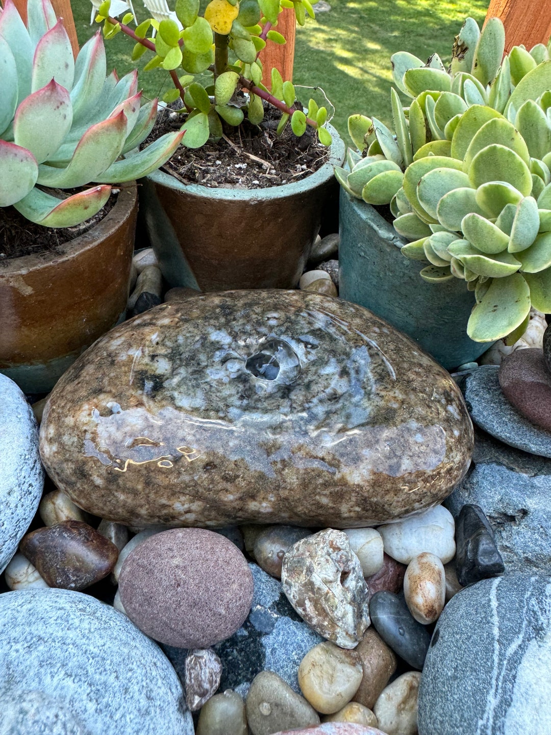 DIY Water Garden, Zen Garden, Bird Bath Fountain, Garden Oasis. Possibilities Are Endless! - Etsy