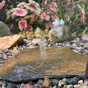 DIY Flagstone Water Garden Kit: River Rock Bird Bath, Butterfly Waterer