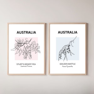 Conjunto de dos plantas nativas de Australia: arte mural floral de guisante del desierto y acacia dorada / Impresión ilustrativa estética minimalista botánica digital