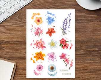 Bloemenpakket stickervellen: bloemplannerstickers, decoratief planner-plakboek, transparant