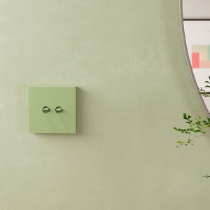 Könnte beinhalten: Eine quadratische, hell salbeigrüne Lichtschalterabdeckung zur Wandmontage mit zwei kreisförmigen, metallischen Kippschaltern, die horizontal in der Mitte angeordnet sind. Die Schalterplatte hat eine flache, matte Oberfläche und ist an einer Wand montiert.