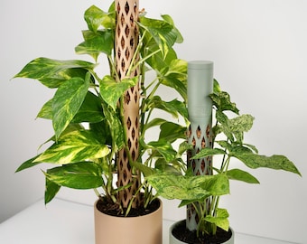 Modular Moss Pole with Water Reservoir Support for Monstera, Philodendron & Climbing Houseplants