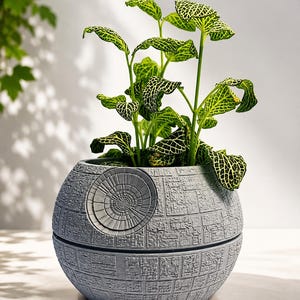 May include: A spherical gray planter with a textured surface resembling a space station, featuring a prominent circular dish detail on the side. A green plant with yellow-veined leaves grows out of the top of the round, detailed container.