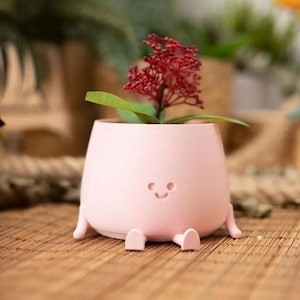 May include: A light pink, whimsical planter with a smiling face and small legs. The planter holds a small plant with red flowers and green leaves. The planter is sitting on a wooden surface.