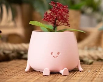 Official Cute Happy Face Pot Planter - Choose Your Colour - Sitting Pot, Funny Planter, Succulent, Cacti Planter, Silly Plant Pot, Gift