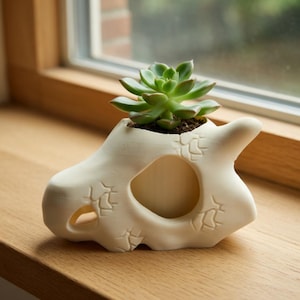 Pu&ograve; includere: Un vaso di ceramica color crema a forma di teschio stilizzato, con aperture e linee incise decorative. Contiene una piccola pianta succulenta verde. Il vaso &egrave; appoggiato su un davanzale di legno, vicino a una finestra.