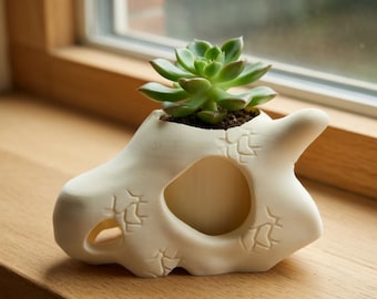 Skull Plant Pot Planter - Succulent Holder - 3D Printed Custom Color - Gift - Desk Decor