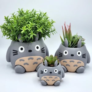 Peut inclure: Trois pots de fleurs en céramique grise en forme de personnage de dessin animé, chacun contenant des plantes différentes. Les pots ont des yeux blancs, des moustaches noires et des ventres beiges. Le plus grand pot contient une plante verte touffue, les autres ont des succulentes.