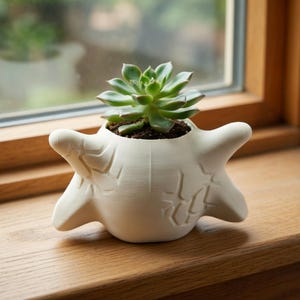 Pu&ograve; includere: Un vaso di ceramica bianco per piante grasse con un design a stella marina unico. Il vaso contiene una pianta grassa verde e terriccio scuro. Si trova su un davanzale di legno, con uno sfondo sfocato.