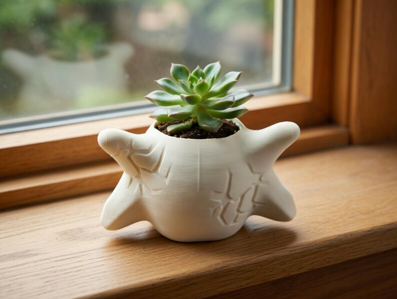Pu&ograve; includere: Un vaso di ceramica bianco per piante grasse con un design a stella marina unico. Il vaso contiene una pianta grassa verde e terriccio scuro. Si trova su un davanzale di legno, con uno sfondo sfocato.