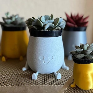 May include: A selection of quirky, colourful planters, each containing a succulent plant. The planters are in yellow, grey, and silver, with black rims and small, leg-like features. One planter has a smiling face.