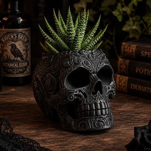May include: A matte black skull-shaped planter featuring intricate, embossed swirling patterns across its surface. A green, spiky succulent plant is potted inside the top of the skull, which serves as a container for the small plant.