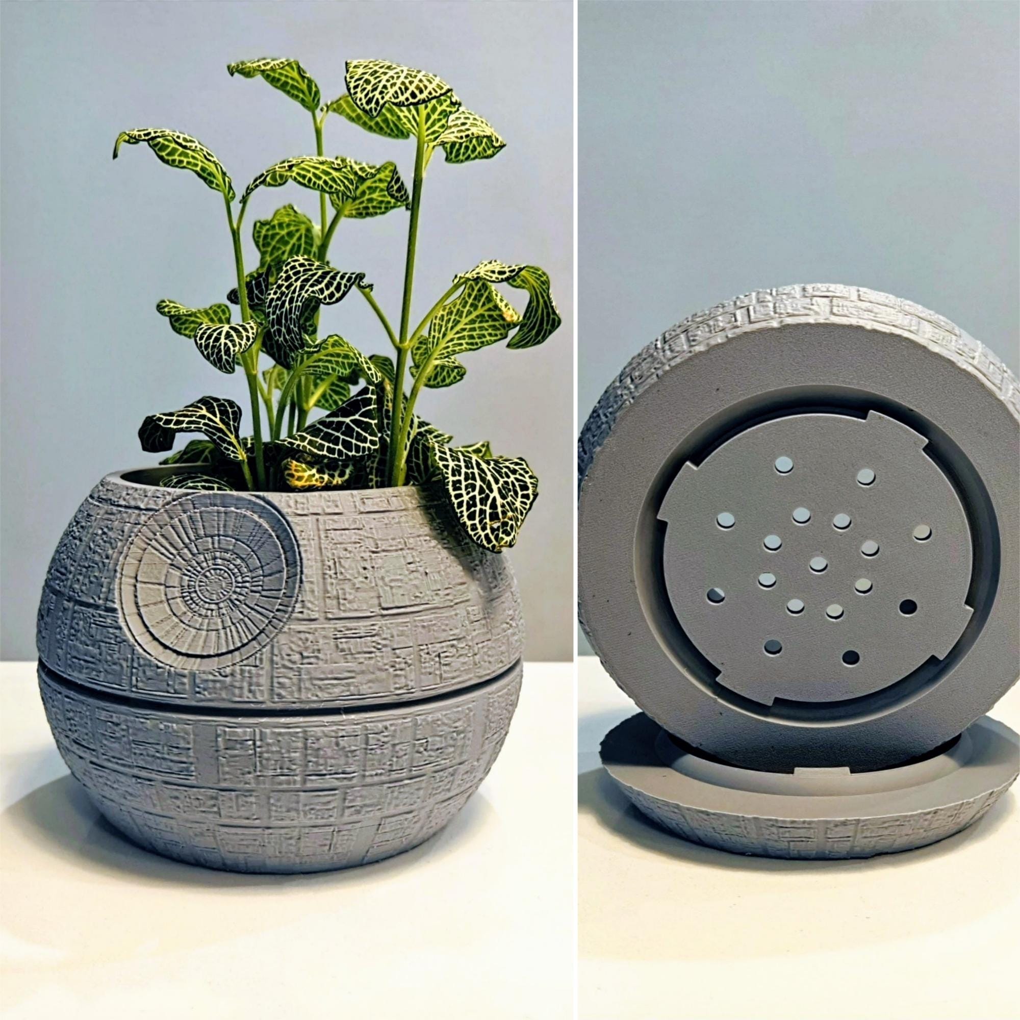 Death Star Plant Pot
