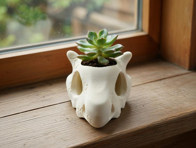Pu&ograve; includere: Un vaso bianco a forma di teschio con una pianta succulenta. Il vaso ha grandi orbite oculari e un naso dettagliato. La succulenta ha foglie verdi ed &egrave; piantata in terra scura. Il vaso &egrave; su una superficie di legno.