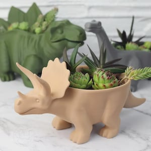 May include: Three dinosaur-shaped planters in beige, olive green, and gray. The beige triceratops, green stegosaurus, and gray long-necked dinosaur each feature a hollow back containing various small green and dark-tipped succulent plants.
