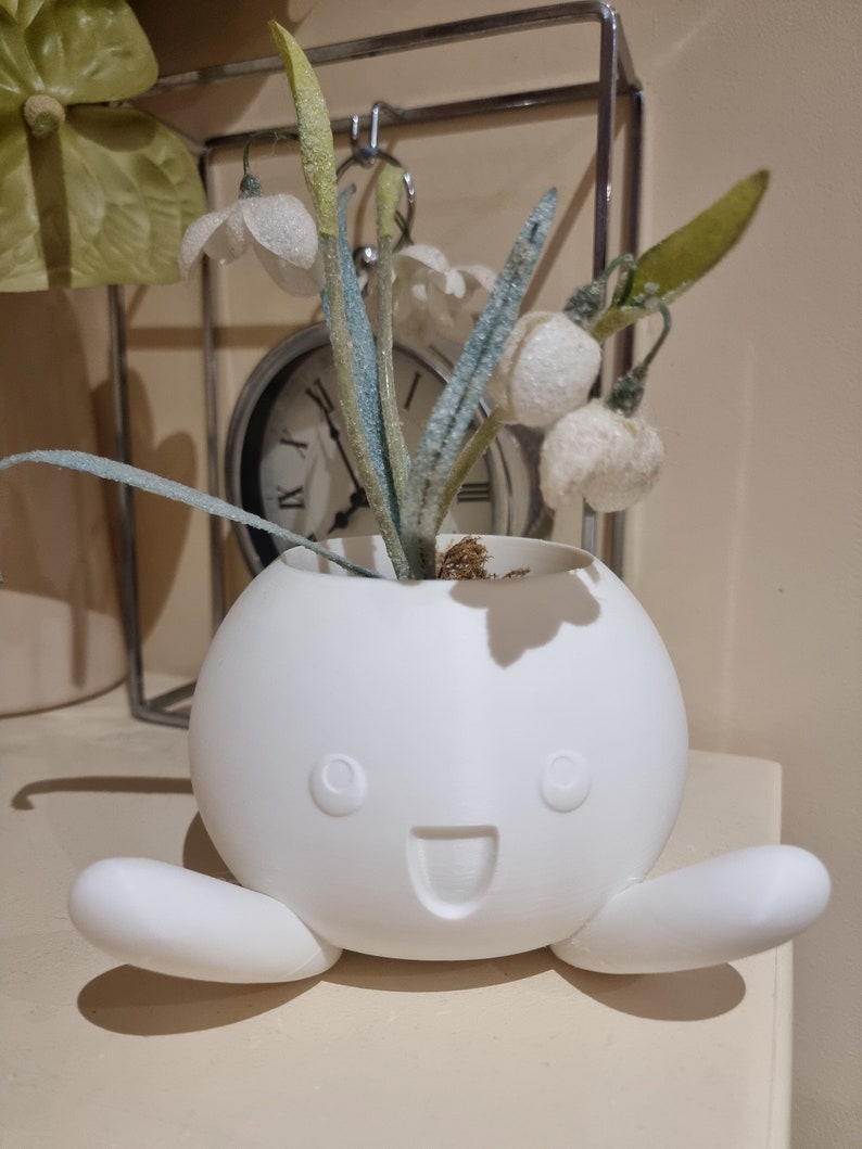 Oddish Pokemon Plant Flower Succulent Pot Vase Planter Cute Colour 3D
