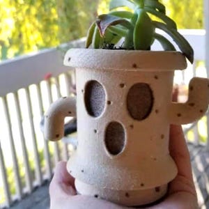 Peut inclure: Un pot de cactus en céramique beige avec une petite plante succulente qui pousse à l'intérieur. Le pot a une surface texturée et trois trous à l'avant.