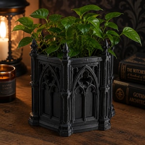 May include: A black hexagonal planter featuring intricate gothic architectural details, including pointed arches and vertical columns. The planter contains a vibrant green leafy plant with multiple stems and pointed leaves, creating a contrast.
