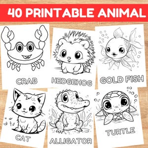 40 easy coloring pages for Preschoolers, Toddlers Coloring Page Preschool Kindergarten Homeschool Printables, Digital Download Coloring