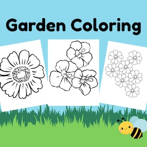30 Page easy coloring pages for Preschoolers, Toddlers Coloring Page Preschool Kindergarten Homeschool Printable, Digital Download Coloring