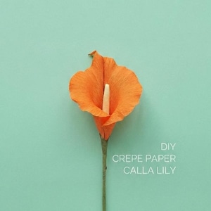Handleiding voor het maken van een callalelie van crêpepapier, PDF-bloempatroon (digitale download)