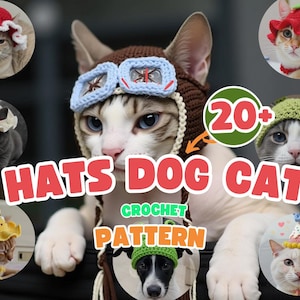 20+ Cat & Dog Hats Crochet Patterns: Summer, Halloween, Xmas (PDF Pattern)