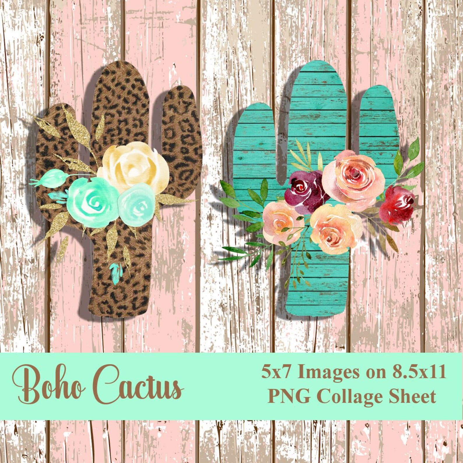 Watercolor Cactus Boho Cactus Clip Art PNG Boho Graphics | Etsy