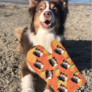 Könnte beinhalten: Ein brauner, weißer und hellbrauner Hund mit offenem Maul sitzt an einem Sandstrand. Der Hund hält einen orangefarbenen Ofenhandschuh mit einem sich wiederholenden Muster des Hundegesichts in einem Taco.