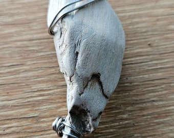 Petrified Wood Wire Wrapped Pendant