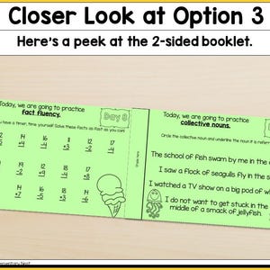 May include: A two-sided green booklet with a math worksheet on one side and a grammar worksheet on the other. The math worksheet has the title "Fact Fluency" and includes addition, subtraction, and multiplication problems. The grammar worksheet has the title "Collective Nouns" and includes sentences with collective nouns that need to be circled.