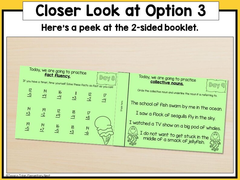 May include: A two-sided green booklet with a math worksheet on one side and a grammar worksheet on the other. The math worksheet has the title "Fact Fluency" and includes addition, subtraction, and multiplication problems. The grammar worksheet has the title "Collective Nouns" and includes sentences with collective nouns that need to be circled.