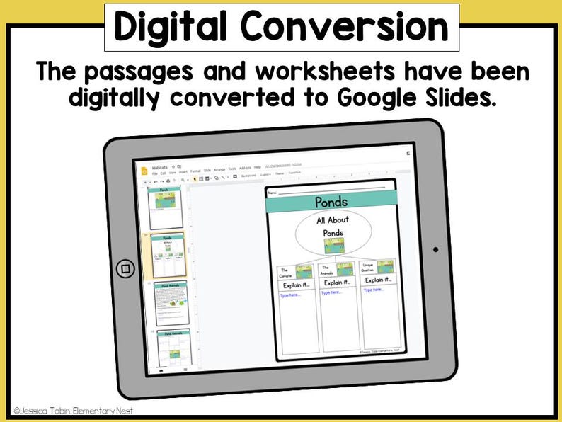 May include: A screenshot of a Google Slides presentation about ponds. The presentation has a title slide that says "Ponds" and a slide with a graphic organizer that says "All About Ponds".