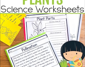 May include: Black and white printable worksheets for teaching about plants. The worksheets include a diagram of a plant with labels for the flower, leaves, stem, and roots. There is also a worksheet about pollination with an illustration of a bee landing on a flower. The text on the worksheets reads "Plant Parts" and "Pollination".