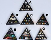 Dollhouse Miniature 1 12 Miniature Natural History Displays Witch Cabinet of Curiosities Shells Skull Bird Eggs Butterflies OOAK