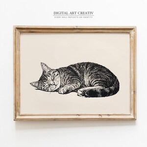 Pode incluir: Uma impress&atilde;o emoldurada com uma ilustra&ccedil;&atilde;o detalhada em preto e branco de um gato tigrado a dormir. O gato est&aacute; enroscado, com os olhos fechados, a descansar sobre um fundo creme. A moldura &eacute; de cor castanho claro, e a impress&atilde;o tem o texto "DIGITAL ART CREATIV" e "EVERY WALL REFLECTS AN IDENTITY".