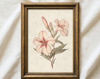 Vintage Floral Print, Antique Botanical Wall Art | Pink Flower Sketch | Antique Rose Printable WallArt | Digital Download | Farmhouse Floral