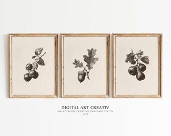 Ilustrações botânicas vintage | Arte de parede com figos, mirtilos e bolotas (Download digital)