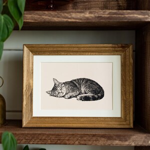 Pode incluir: Uma impress&atilde;o emoldurada com uma ilustra&ccedil;&atilde;o detalhada em preto e branco de um gato tigrado dormindo. O gato est&aacute; enroscado, com os olhos fechados, em um fundo creme. A moldura &eacute; de madeira com um acabamento dourado quente.