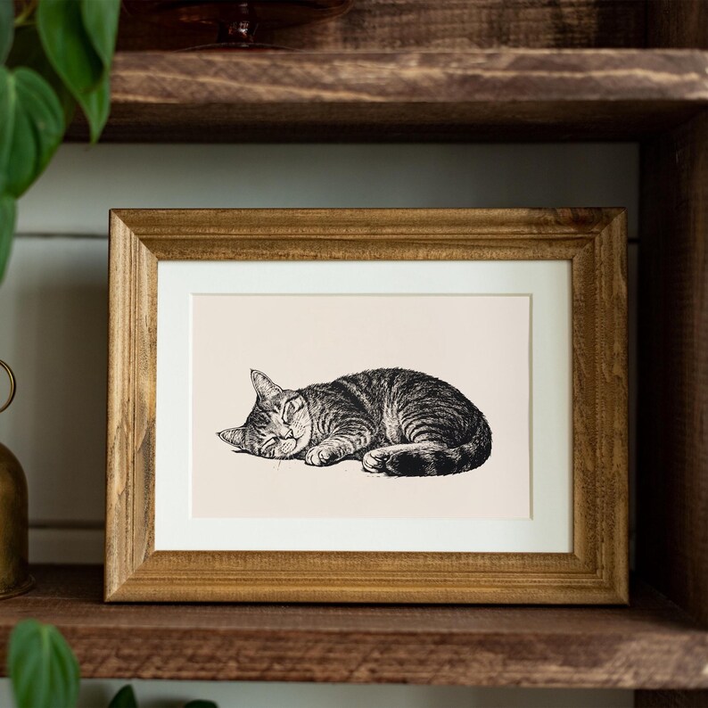 Pode incluir: Uma impress&atilde;o emoldurada com uma ilustra&ccedil;&atilde;o detalhada em preto e branco de um gato tigrado dormindo. O gato est&aacute; enroscado, com os olhos fechados, em um fundo creme. A moldura &eacute; de madeira com um acabamento dourado quente.