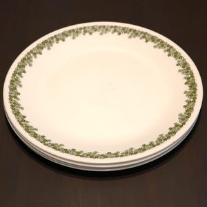 Corelle Spring Blossom Crazy Daisy10.25 Inch Dinner Plates. Set of 4