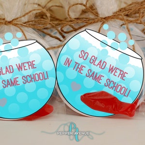 Puede incluir: Un cuenco de peces azul y blanco con el texto "So glad we're in the same school!" impreso en él. El cuenco de peces está lleno de burbujas azules y un pez rojo nada dentro.