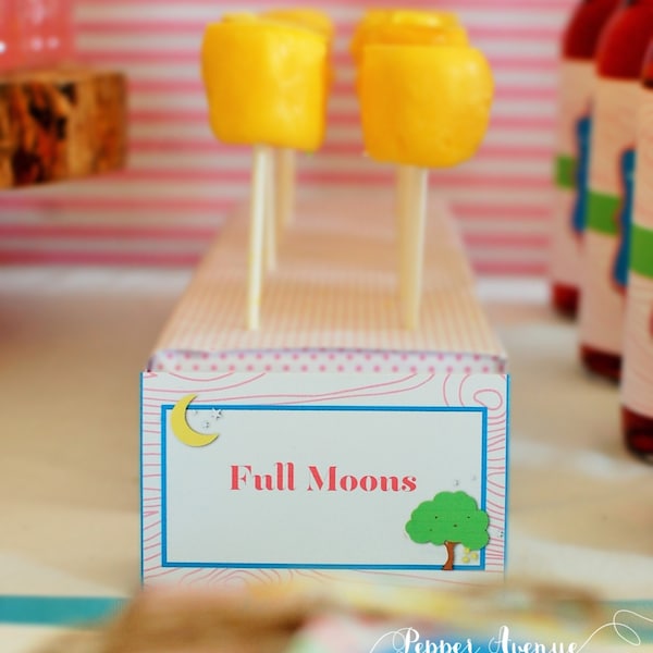 Camping Moon Party Labels Food Labels or Drink Labels - Instant Download DIY Printable PDF File