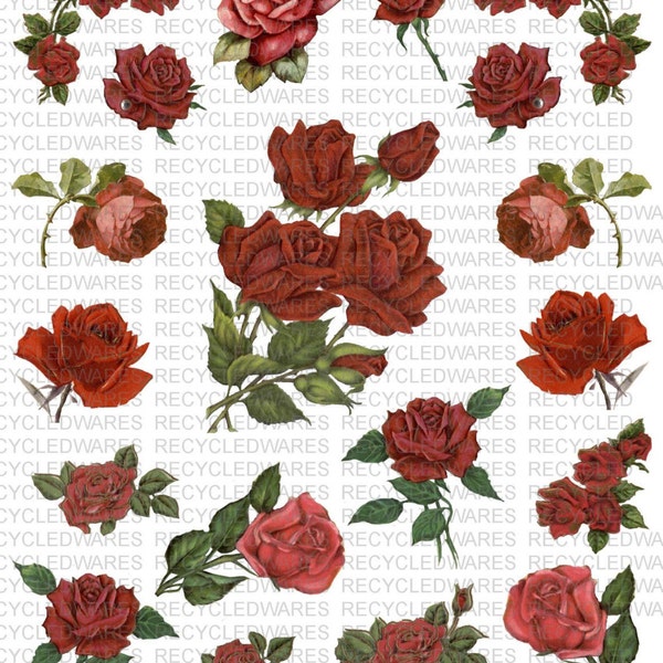 Printable Red Roses Digital Collage Sheet Flowers Clip Art Red Roses Clip Art