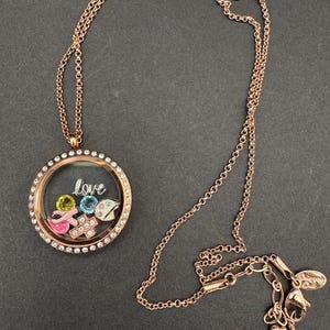 Original Vintage Origami Owl Locket Necklace with Charms!