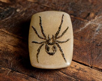 Hand-Inked Spider Scrimshaw Cabochon – Ivory Paper Micarta Jewelry Focal Piece
