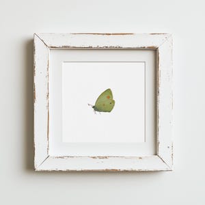 Miniature Moth Butterfly Watercolor Art | Butterfly Painting Print | Moth Painting Print | Green Butterfly |  Small Art | Moth Watercolor