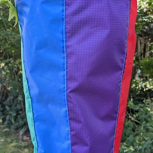 May include: A rainbow-coloured fabric windsock with a green, blue, purple and red design. The windsock is hanging from a tree branch.