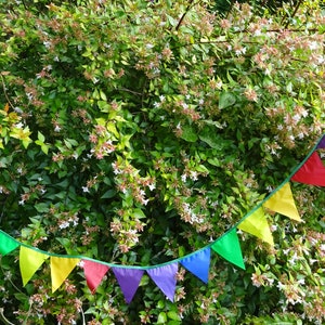 May include: A colourful bunting with alternating green, blue, purple, red, yellow and orange triangular flags strung together with green string.
